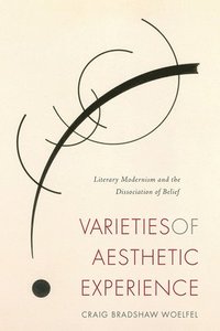 bokomslag Varieties of Aesthetic Experience