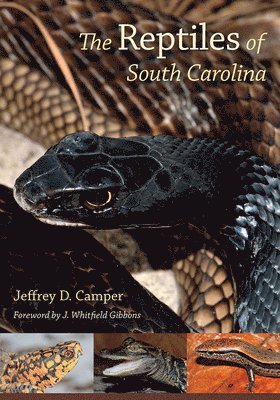 bokomslag The Reptiles of South Carolina