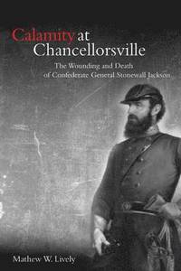 bokomslag Calamity at Chancellorsville