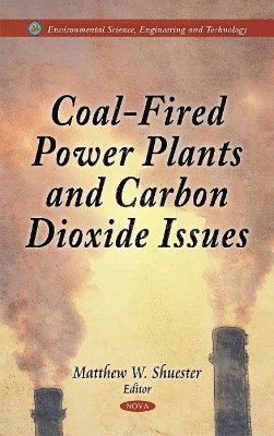 bokomslag Coal-Fired Power Plants & Carbon Dioxide Issues
