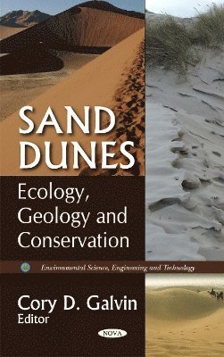 bokomslag Sand Dunes