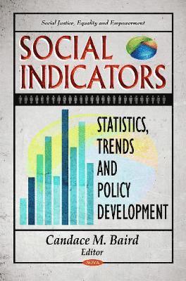 bokomslag Social Indicators
