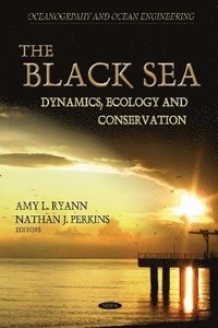 bokomslag Black Sea