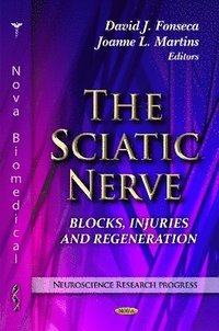 bokomslag Sciatic Nerve
