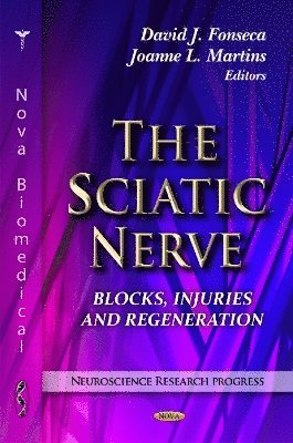 bokomslag Sciatic Nerve