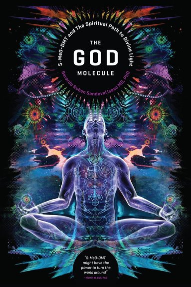 Gerado Ruben Sandoval Isaac - God Molecule, Häftad