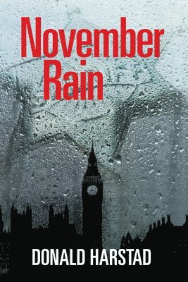 bokomslag November Rain