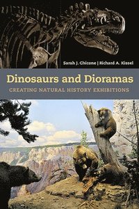 bokomslag Dinosaurs and Dioramas