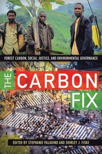bokomslag The Carbon Fix