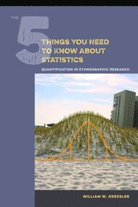 bokomslag The 5 Things You Need to Know about Statistics