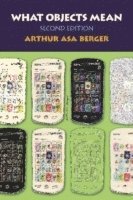 bokomslag What Objects Mean: An Introduction to Material Culture