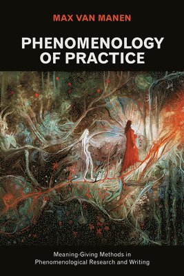 bokomslag Phenomenology of Practice