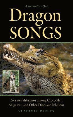 Dragon Songs 1