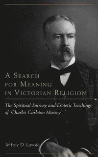 bokomslag A Search for Meaning in Victorian Religion