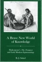 bokomslag A Brave New World of Knowledge