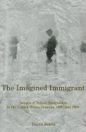 bokomslag The Imagined Immigrant