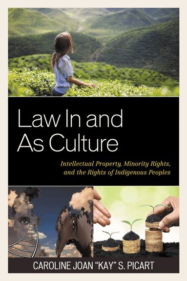 Caroline Joan "Kay" S. Picart - Law In and As Culture, Inbunden
