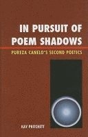 bokomslag In Pursuit of Poem Shadows