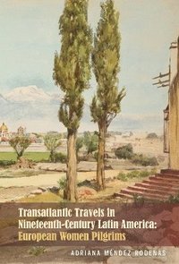 bokomslag Transatlantic Travels in Nineteenth-Century Latin America