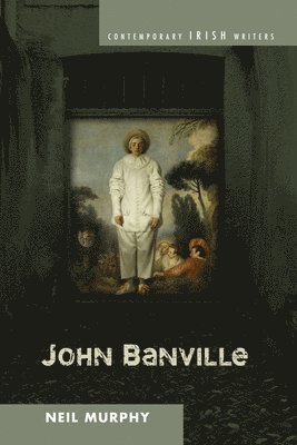 bokomslag John Banville