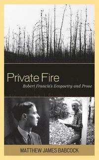 bokomslag Private Fire