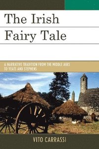 bokomslag The Irish Fairy Tale