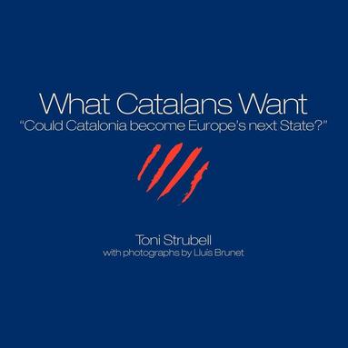 bokomslag What Catalans Want