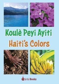 bokomslag Haiti's Colors