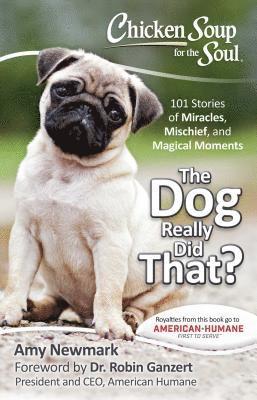 Chicken Soup for the Soul: The Dog Really Did That? 1