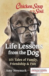 bokomslag Chicken Soup for the Soul: Life Lessons from the Dog