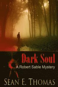 bokomslag Dark Soul