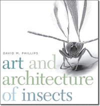 bokomslag Art and Architecture of Insects