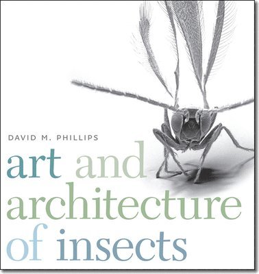 bokomslag Art and Architecture of Insects