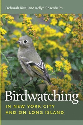 bokomslag Birdwatching in New York City and on Long Island