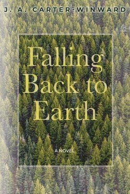 J a Carter-Winward - Falling Back To Earth, Häftad