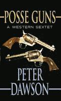 bokomslag Posse Guns: A Western Sextet