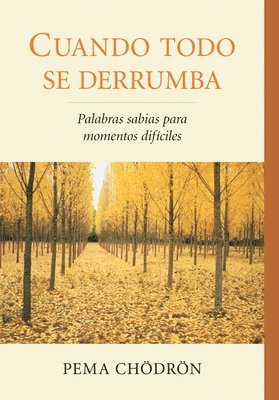Pema Chodron - Cuando Todo Se Derrumba (When Things Fall Apart): Palabras Sabias Para Momentos Dificiles, Häftad
