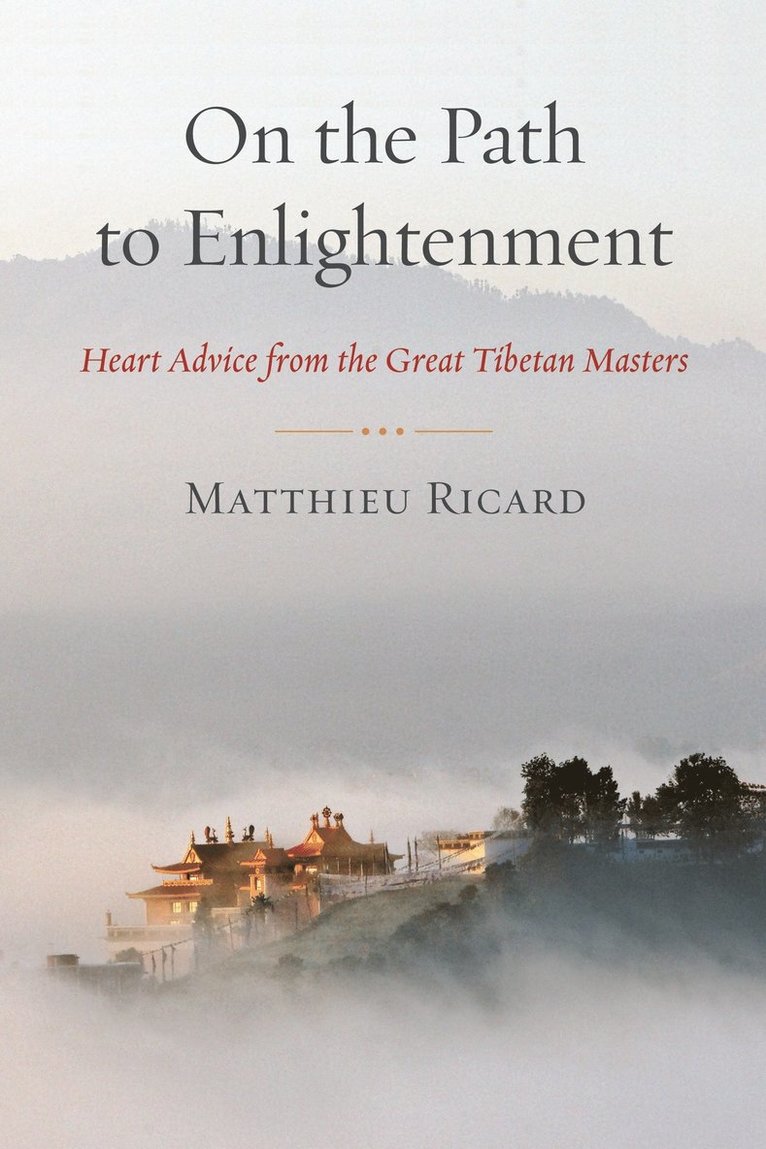 Matthieu Ricard - On the Path to Enlightenment, Häftad