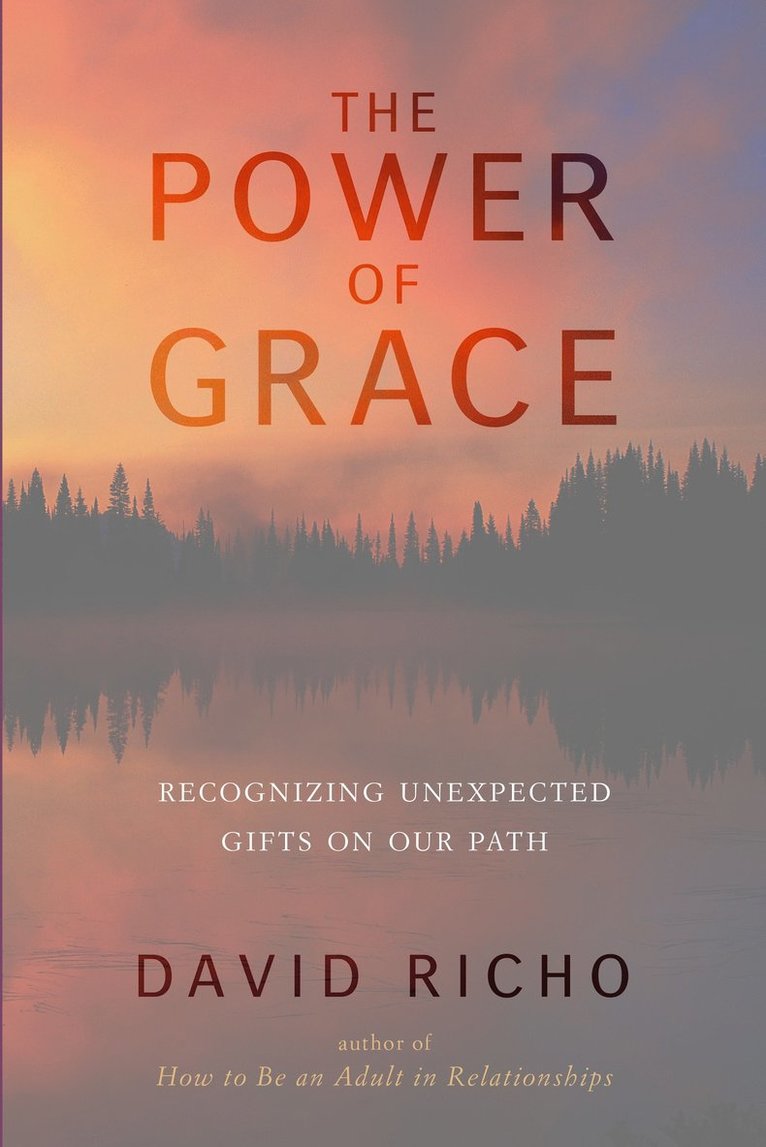 David Richo - Power of Grace, Häftad