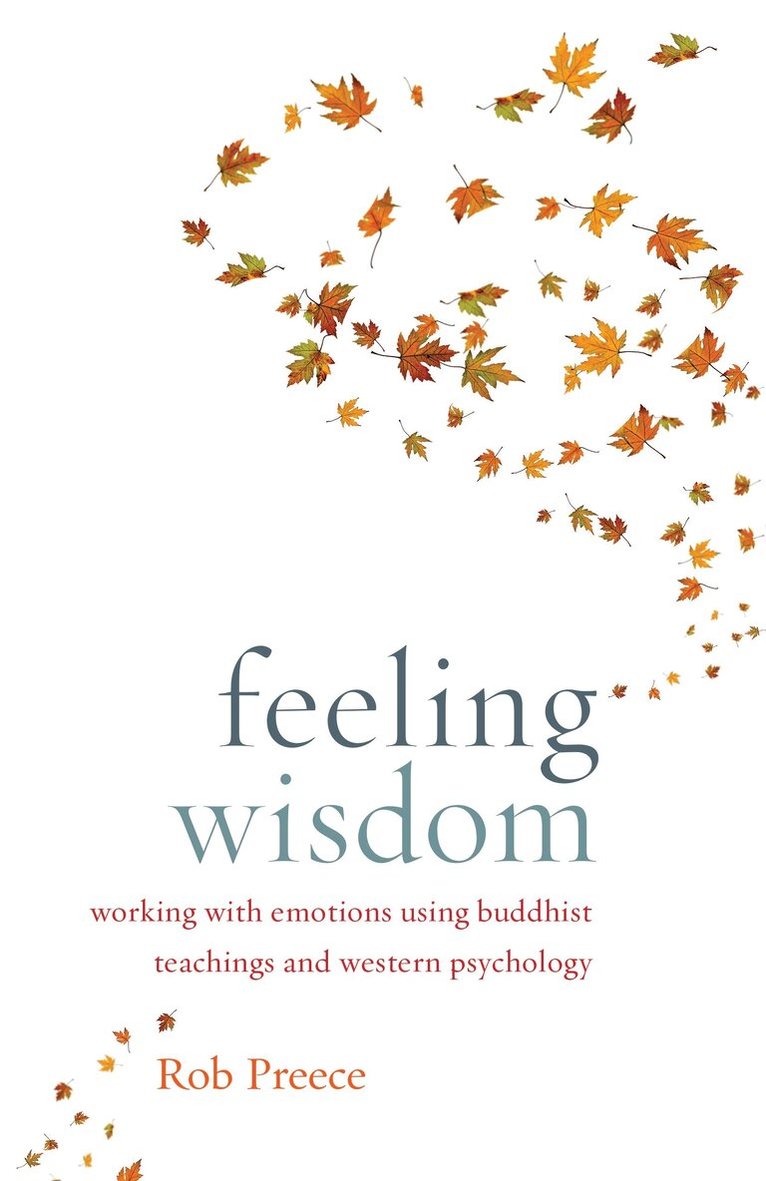 Rob Preece - Feeling Wisdom, Häftad