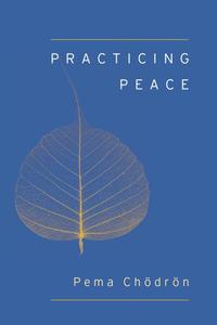 bokomslag Practicing Peace (Shambhala Pocket Classic)