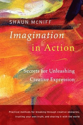 Imagination in Action 1