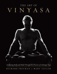 bokomslag The Art of Vinyasa