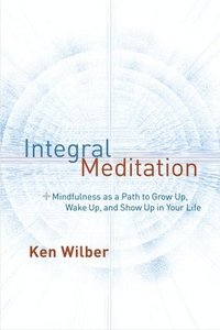 bokomslag Integral Meditation