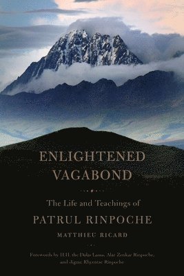 bokomslag Enlightened Vagabond