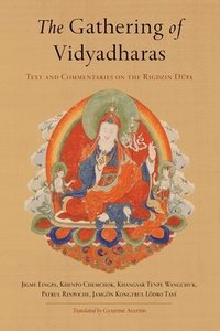 bokomslag Gathering of Vidyadharas