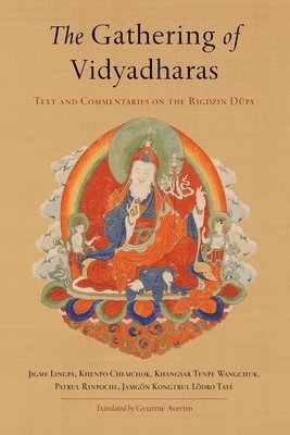 bokomslag Gathering of Vidyadharas