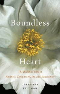 bokomslag Boundless Heart