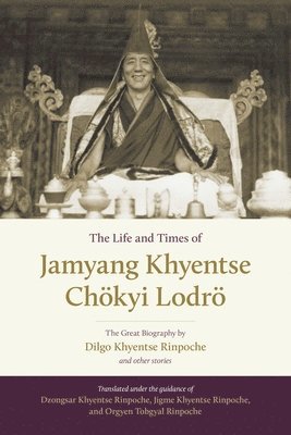 bokomslag The Life and Times of Jamyang Khyentse Chkyi Lodr