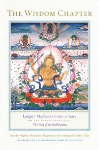 bokomslag Wisdom chapter - jamgon miphams commentary on the ninth chapter of the way